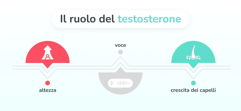 Testosterone elevato